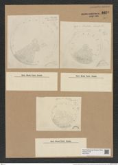 Coscinodiscus superbus Hardm (de-Toni-Nr.: Genus 202, Species 4873) Zeichnungen Sammlung Grunow Nr. 8620 (NHMW-BOT-W0378010)